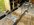 IMG_4337.jpeg
