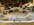 IMG_4339.jpeg