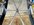 IMG_4343.jpeg