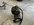 IMG_1789.jpeg
