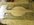 IMG_8212.jpeg