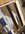 IMG_8291.jpeg