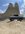 IMG_5630.jpeg