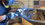 IMG_0483.jpeg