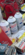 E515D5D4-9534-426A-AD46-3BF5CA1ED3CC.png