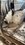 IMG_3144.jpeg