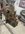 IMG_8981.jpeg