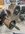 IMG_8982.jpeg