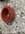 IMG_8984.jpeg