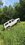 IMG_3154.jpeg