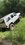 IMG_3153.jpeg