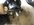 3141BA27-ACE6-4007-909B-384F1118A029.jpeg
