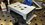 IMG_3961.jpeg
