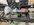 IMG_9002.jpeg