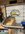 IMG_0543.jpeg