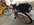 IMG_8384.jpeg