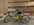IMG_5212.jpeg
