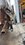 IMG_3188.jpeg