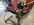 IMG_3158.jpeg