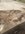 IMG_0330.jpeg
