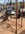 IMG_2581.jpeg