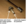 1688513429732.png