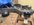 IMG_2587.jpeg