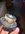 D1508C41-FDD9-469F-8DD4-D7FE9710CE9C.jpeg