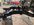 IMG_2599.jpeg
