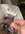 IMG_5736.jpeg