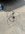 IMG_3769.jpeg