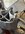 IMG_3777.jpeg