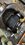 IMG_4018.jpeg