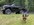 IMG_3259.jpeg