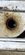 Screenshot_20230713_121333_Gallery.jpg