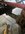 IMG_8765.jpeg