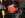 IMG_0659_800x600.jpg