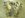 DSCN0360.JPG