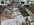 9E942D1E-E86F-4367-B24B-EAD1426E7C93.jpeg