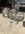 IMG_3514.jpeg