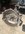 IMG_3513.jpeg