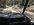 IMG_6111.jpeg