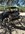 IMG_6097.jpeg