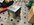 3CD9D26C-FC76-4654-AC04-F545BE84EE6A.jpeg
