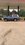 IMG_3268.jpeg
