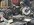 IMG_5305.jpeg