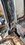 IMG_3282.jpeg