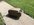 IMG_8353.jpeg