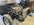 IMG_9183.jpeg