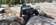 20230618_142937_Original.jpeg
